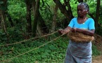 Le«  jugaad » indien ou l'innovation frugale : l'avenir ?