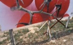 Le voyage d'une tomate vu par Emile Loreaux