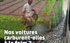 Hors-Série : « Nos voitures carburent-elles à la faim ? »