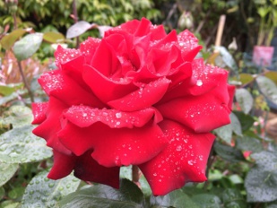 Deux ou trois choses à dire sur mon engagement pour l'union, à gauche. Deux ou trois choses à dire sur mon engagement pour l'union, à gauche.