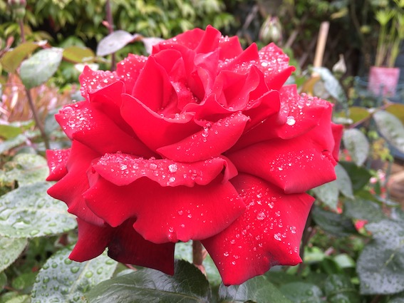 Deux ou trois choses à dire sur mon engagement pour l'union, à gauche. Deux ou trois choses à dire sur mon engagement pour l'union, à gauche.