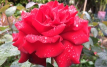 Deux ou trois choses à dire sur mon engagement pour l'union, à gauche. Deux ou trois choses à dire sur mon engagement pour l'union, à gauche.