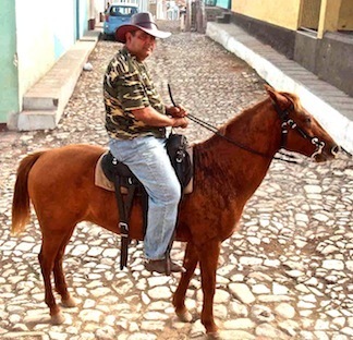 La vie à cheval