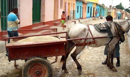 La vie à cheval