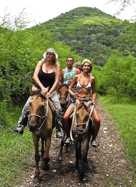 Un guide singulier Un guide singulier