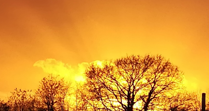 LETTRE VERTE OUVERTE LETTRE VERTE OUVERTE