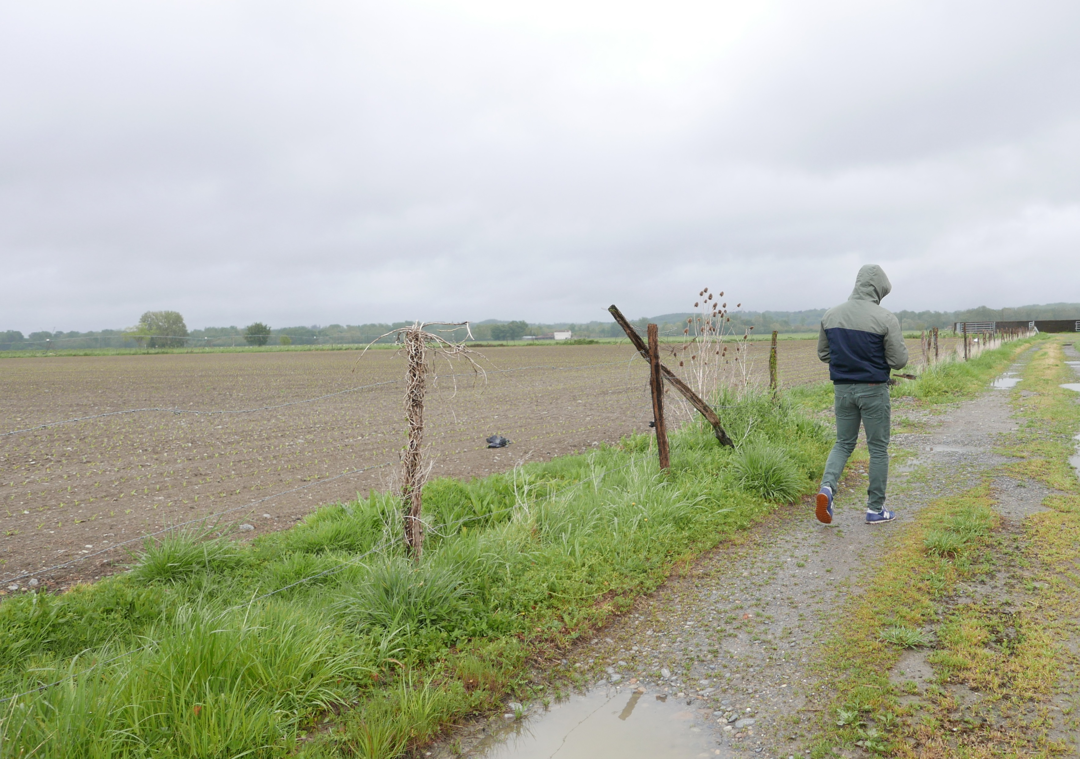 Raphaël, entre les champs et les capitales: une trajectoire à contre-courant