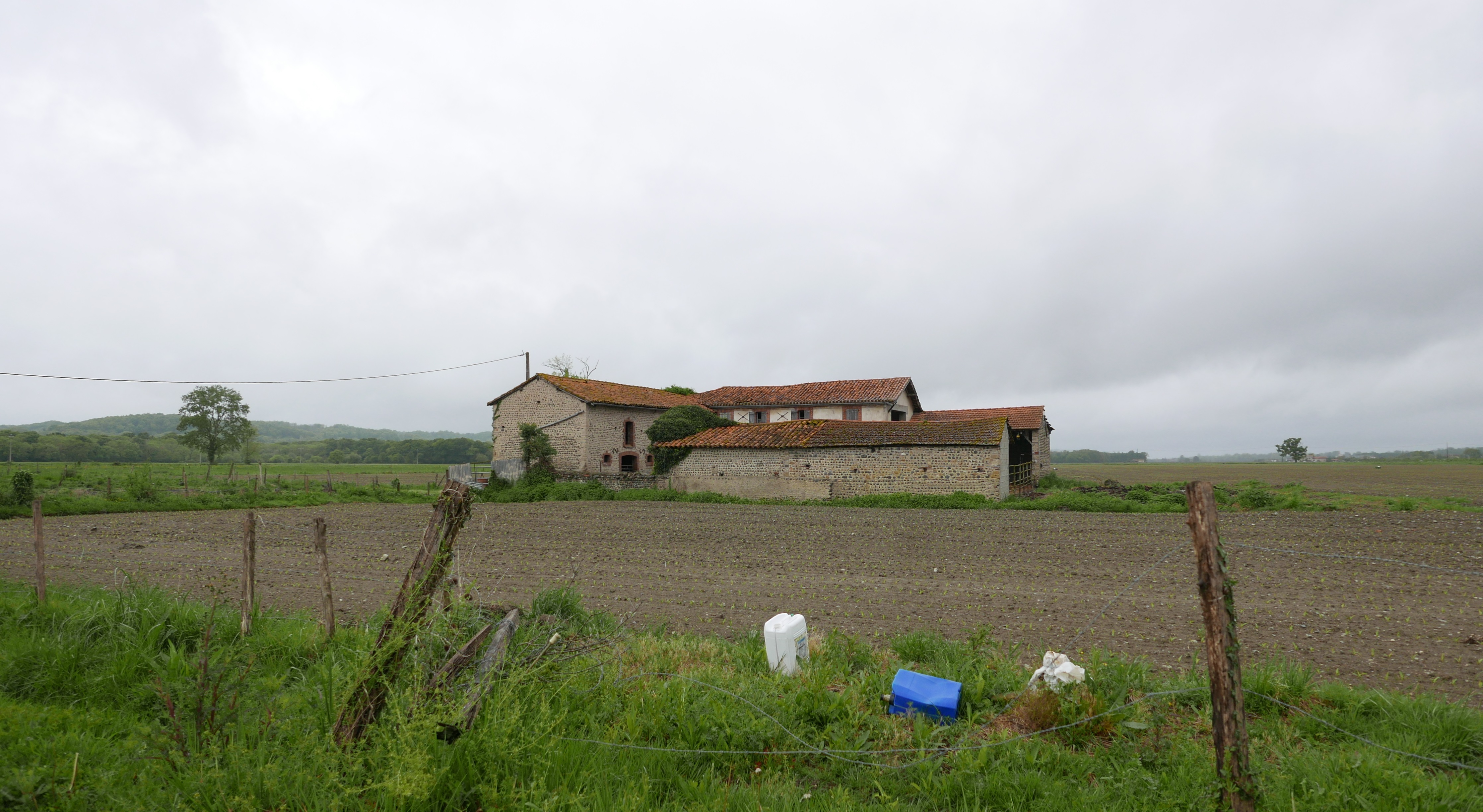 Raphaël, entre les champs et les capitales: une trajectoire à contre-courant