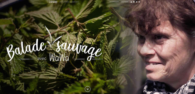 Sur la websérie Sideways : à la découverte des plantes sauvages avec Wawa