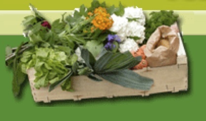Les Jardins de Cocagne cultivent la solidarité Les Jardins de Cocagne cultivent la solidarité
