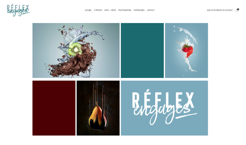 Visuel tiré du site Réflex engagés