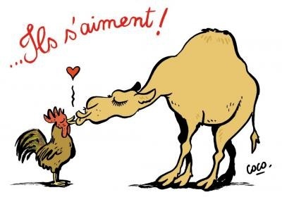 Des dessins de presse à la BNF Des dessins de presse à la BNF