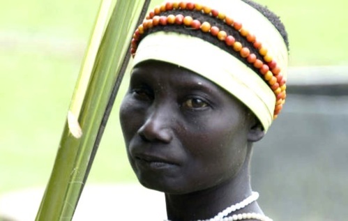 Insupportables safaris humains... Insupportables safaris humains...