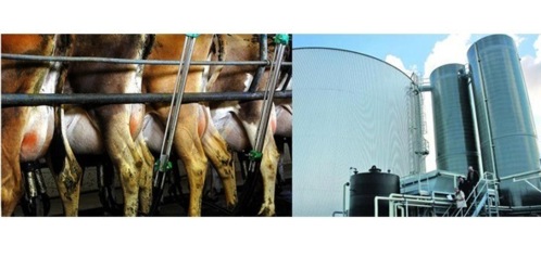 Pétition contre une ferme géante Pétition contre une ferme géante