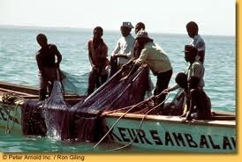Le Sénégal s'attaque aux bateaux usines