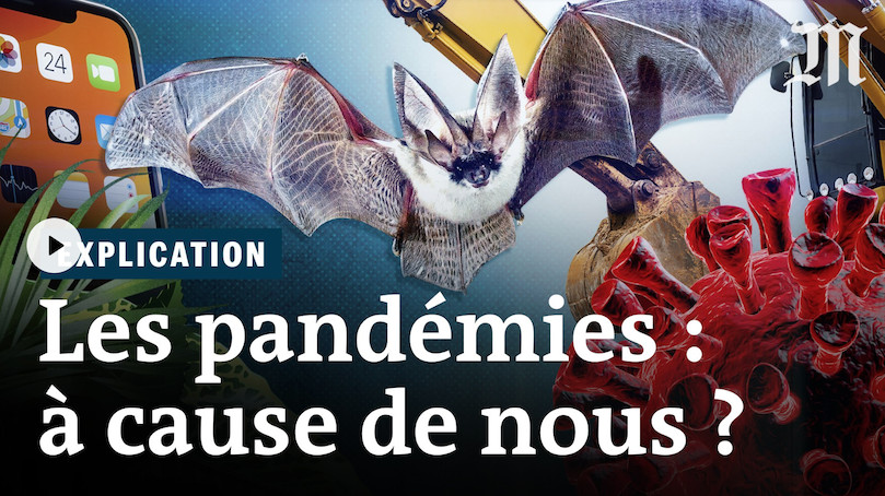 En vidéo sur Le Monde : "Les pandémies à cause de nous ?" 