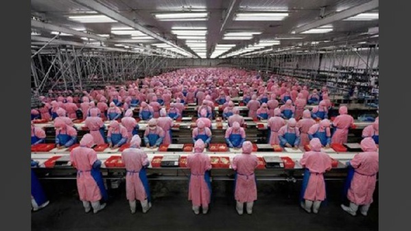 ©Les Films d'ici ©Les Films d'ici