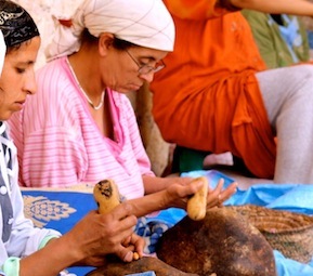 Huile d'Argan : c'était un beau projet... Huile d'Argan : c'était un beau projet...