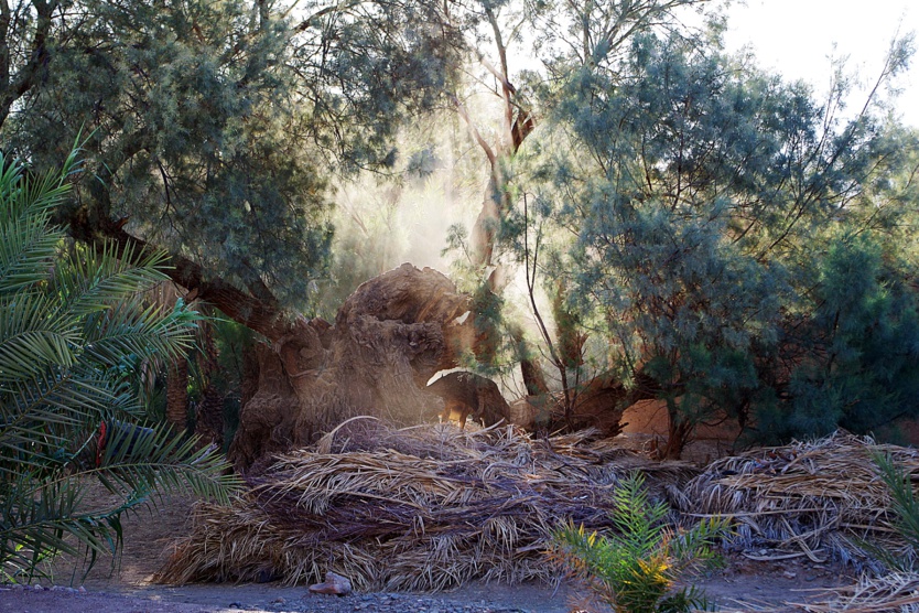 Photo : les amis marocains du "Berbère Blanc" Photo : les amis marocains du "Berbère Blanc"