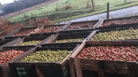 Anne-Laure a rêvé l’Eco domaine du Bois du Barde à Mellionnec