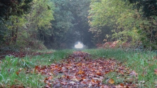 Il combat le monstre de Brocéliande