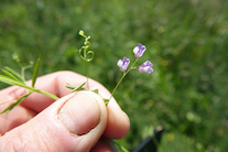 Jean-François Glinec : la biodiversité pour passion Jean-François Glinec : la biodiversité pour passion
