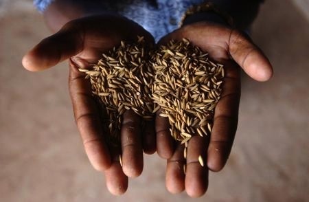 Agir : ces banques françaises qui spéculent sur la faim Agir : ces banques françaises qui spéculent sur la faim