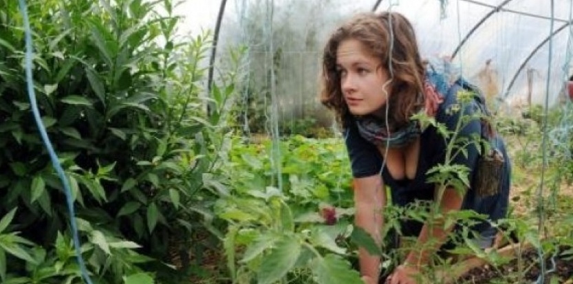 Le wwoofing, pour voyager et promouvoir les techniques de culture ancestrales Le wwoofing, pour voyager et promouvoir les techniques de culture ancestrales