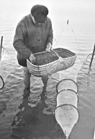 Arnaud Jugan, guide de la baie et prince des grèves