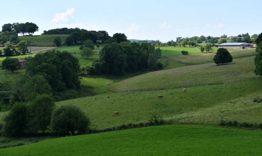 La coopérative à échelle humaine des paysans de Figeac