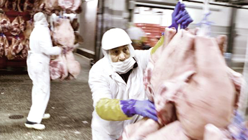 Plus de cochons, plus d'argent ! Plus de cochons, plus d'argent !