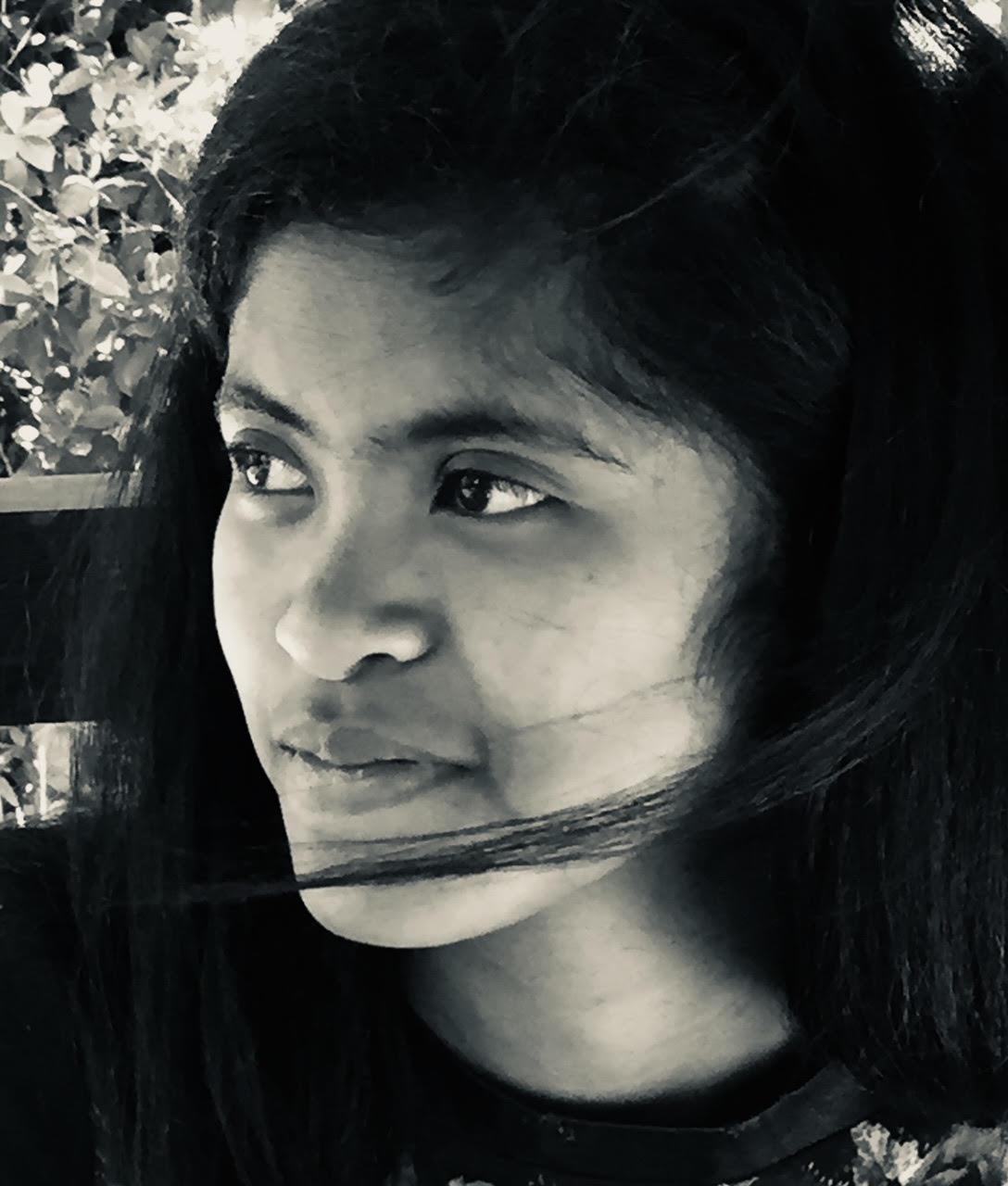 Meva (photo : Jean-Luc Chesneau) Meva (photo : Jean-Luc Chesneau)