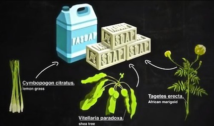 Deux jeunes Africains inventent un savon contre le palu