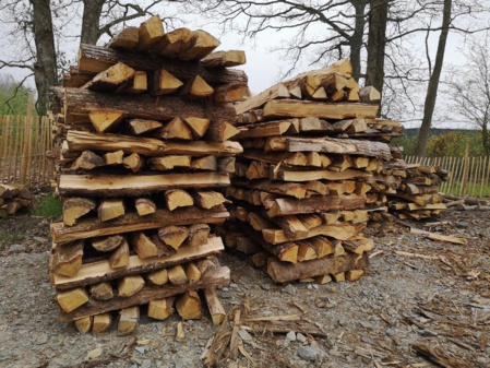 Le bois est valorisé sous toutes ses formes - © T. Ruellan