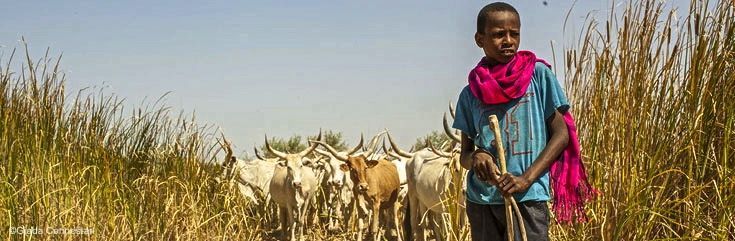 Pétition : 37 villages sénégalais privés de leurs terres