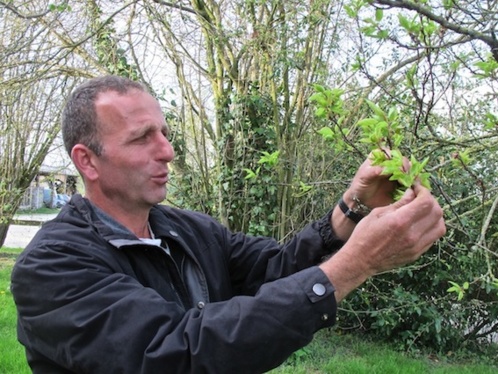 La terre des paysans de Halhul résiste aux colons La terre des paysans de Halhul résiste aux colons