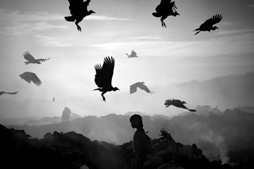 Photojournalisme : Meridith Kohut