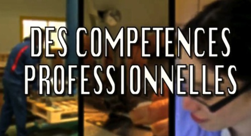 Voir aussi l'article "Travailleurs en esat : « Différents et compétents ! »" Voir aussi l'article "Travailleurs en esat : « Différents et compétents ! »"