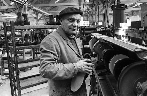 Fougères - © Gérard Fourel Fougères - © Gérard Fourel