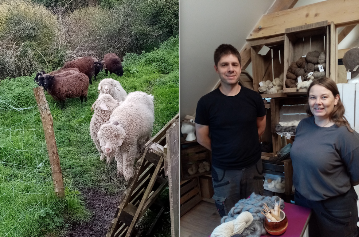La micro-filature d'Emilie et Nicolas, un lien direct du mouton au pull La micro-filature d'Emilie et Nicolas, un lien direct du mouton au pull