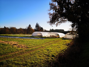 Prochaine étape : faire de la ferme un espace de rencontre, d'échanges et de convivialité.