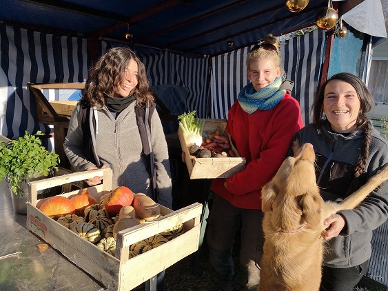 Elles sont trois et font pousser leur emploi avec Grelinette et Ferguson