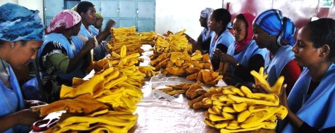 Bas salaires : l'Ethiopie attire les multinationales