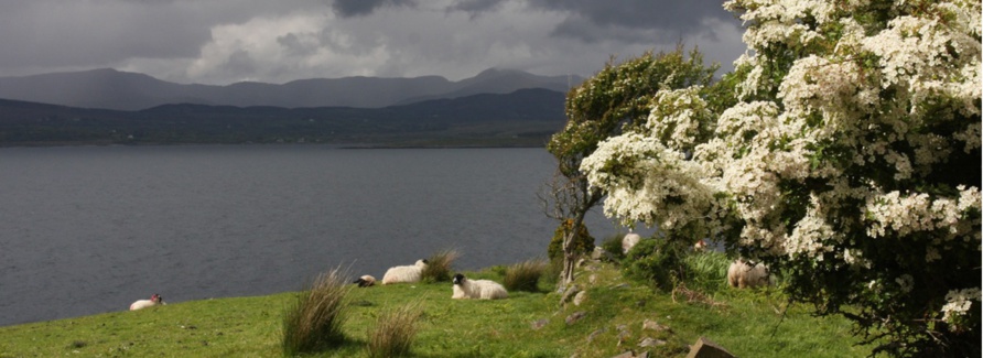 Parmi les photographes retenus, la Bretonne Myriam Jegat avec notamment cette photo Parmi les photographes retenus, la Bretonne Myriam Jegat avec notamment cette photo