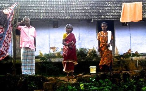 Des cueilleurs de thé dans le Kerala (photo Sindhu Menon)