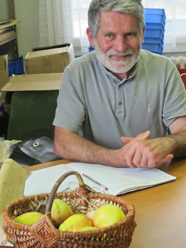 Sur ce « Mordu de la pomme » s'est greffé un fin pomologue Sur ce « Mordu de la pomme » s'est greffé un fin pomologue