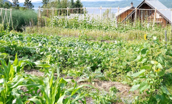 Marie-Thé et Pierre, des écologistes en action au Québec Marie-Thé et Pierre, des écologistes en action au Québec