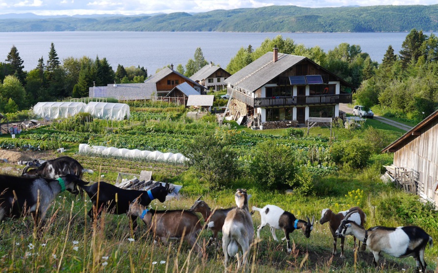Marie-Thé et Pierre, des écologistes en action au Québec Marie-Thé et Pierre, des écologistes en action au Québec