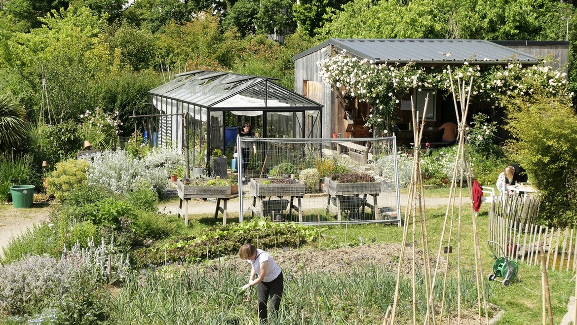 Le jardin permet de cultiver et de goûter des légumes peu classiques Le jardin permet de cultiver et de goûter des légumes peu classiques