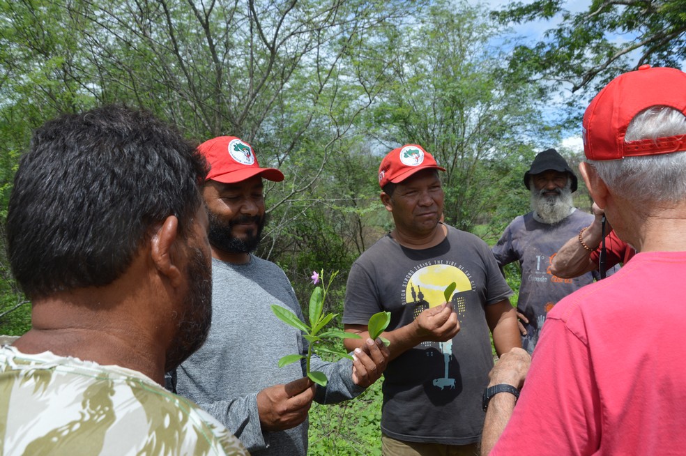 Na primeira etapa, cada família recebe 250 m2 para cultivar frutas e legumes. Na primeira etapa, cada família recebe 250 m2 para cultivar frutas e legumes.